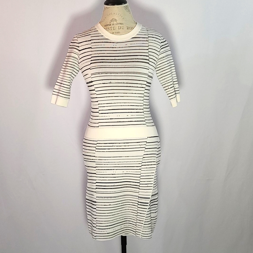 A.L.C. Silhouette Dress Black and White Stripes